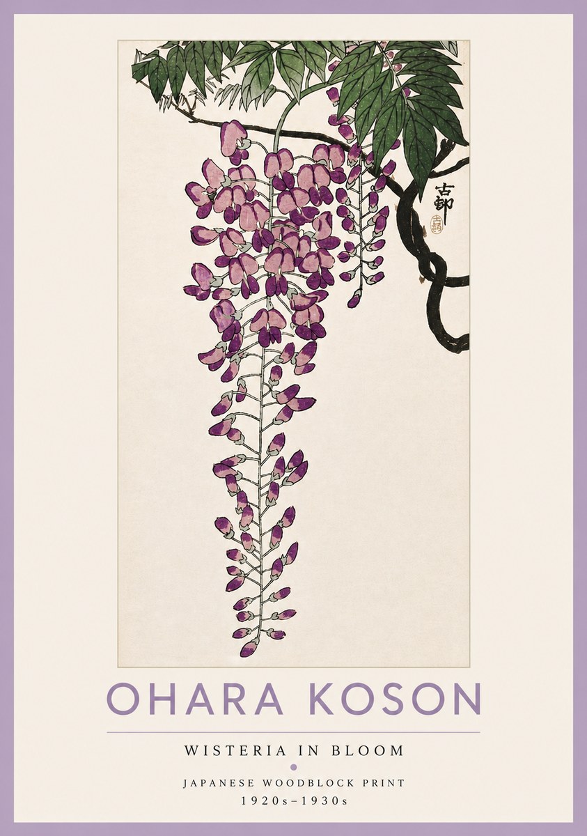 Ohara Koson Wisteria in Bloom No4 - Juliste