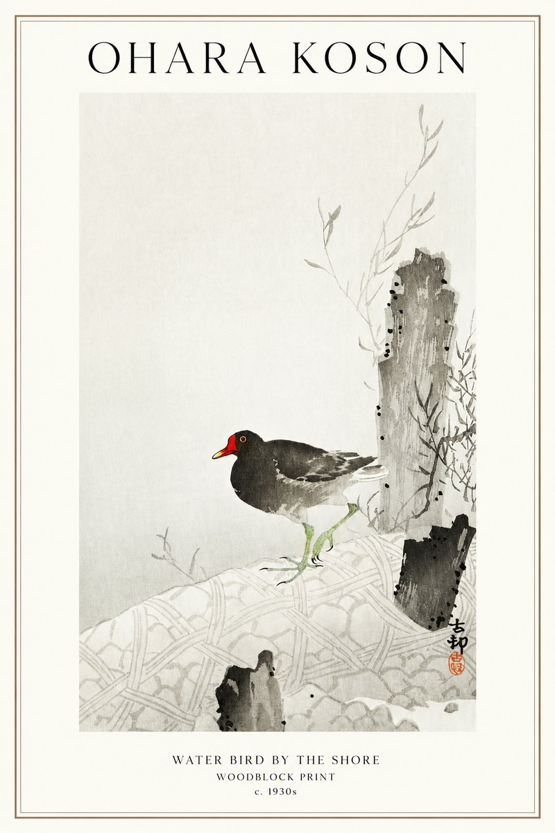 Ohara Koson Water Bird by the Shore No1 - Juliste
