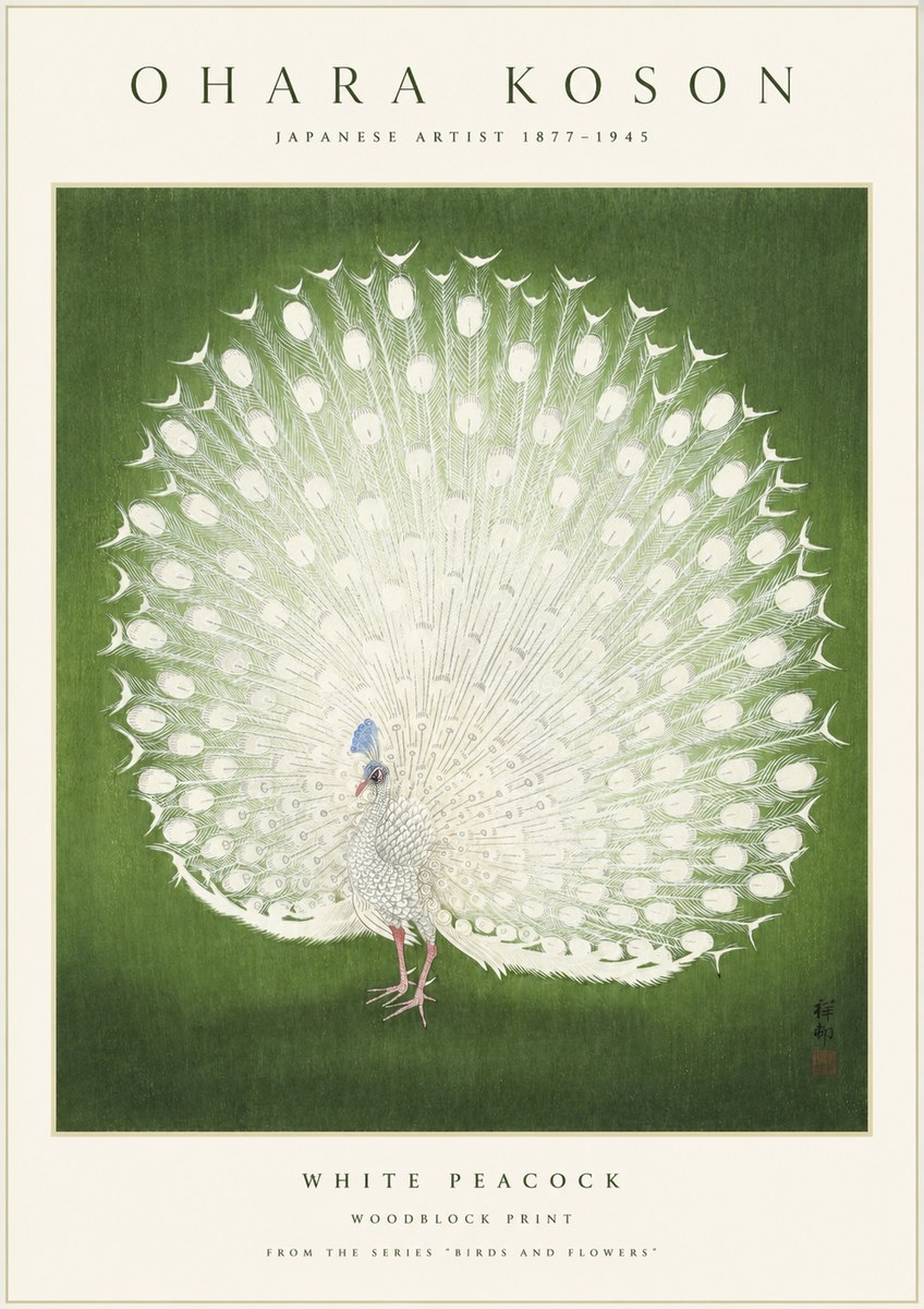 Ohara Koson White Peacock No1 - Juliste