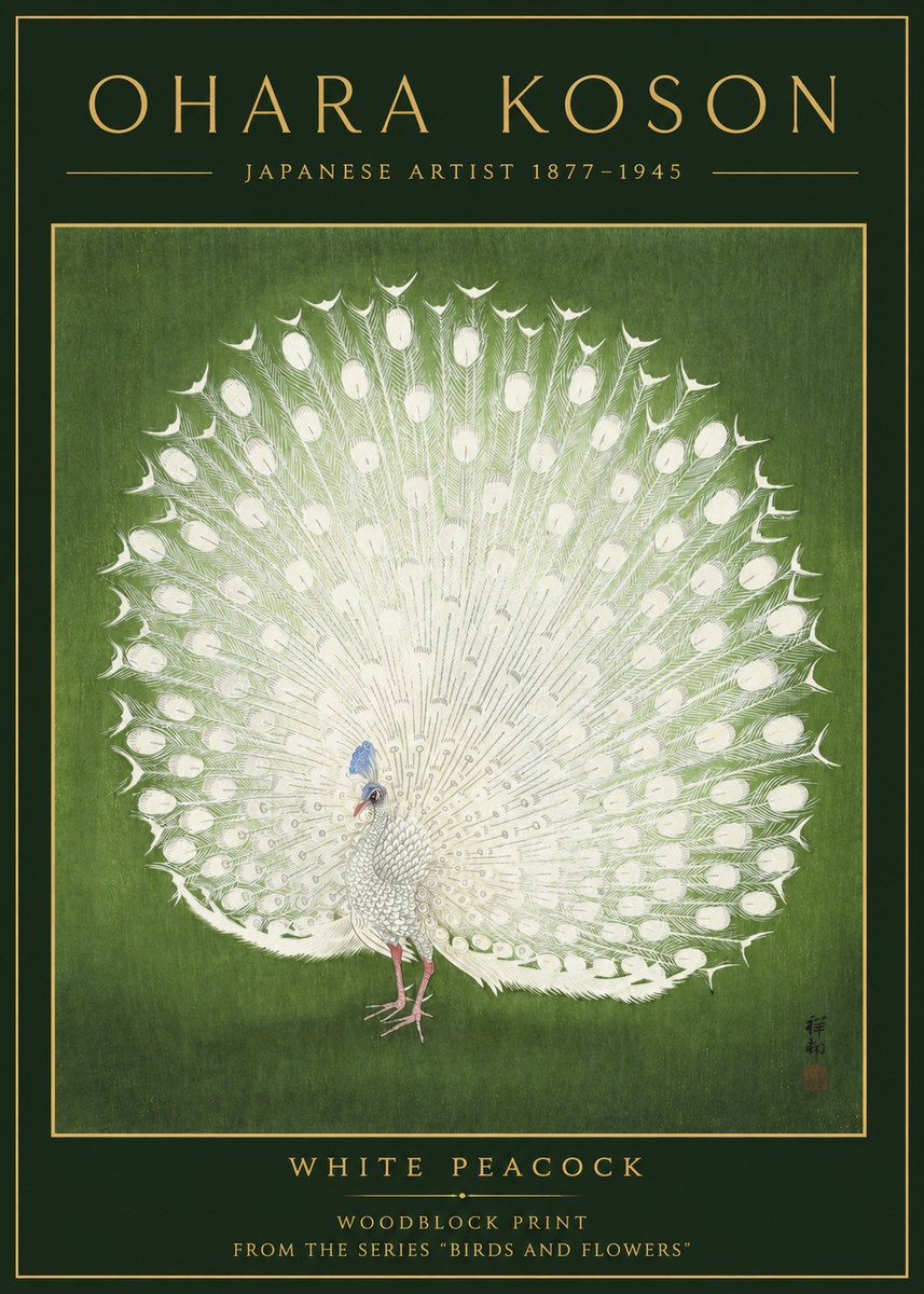 Ohara Koson White Peacock No2 - Juliste