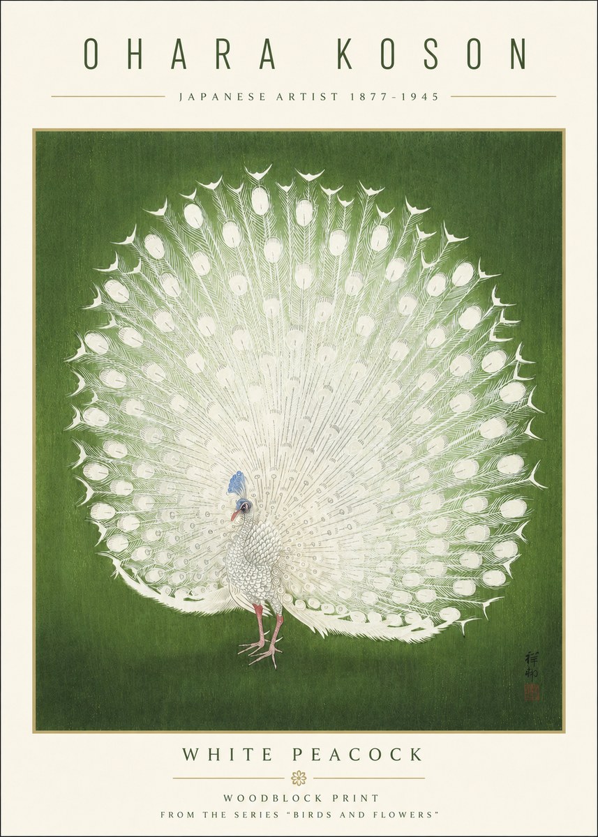 Ohara Koson White Peacock No3 - Juliste