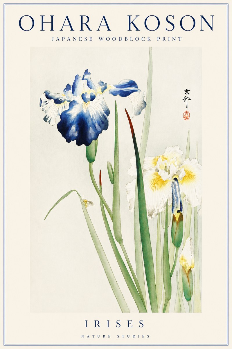 Ohara Koson Irises II No4 - Juliste