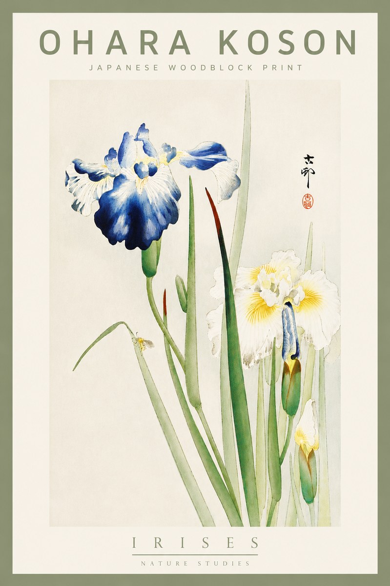 Ohara Koson Irises II No5 - Juliste