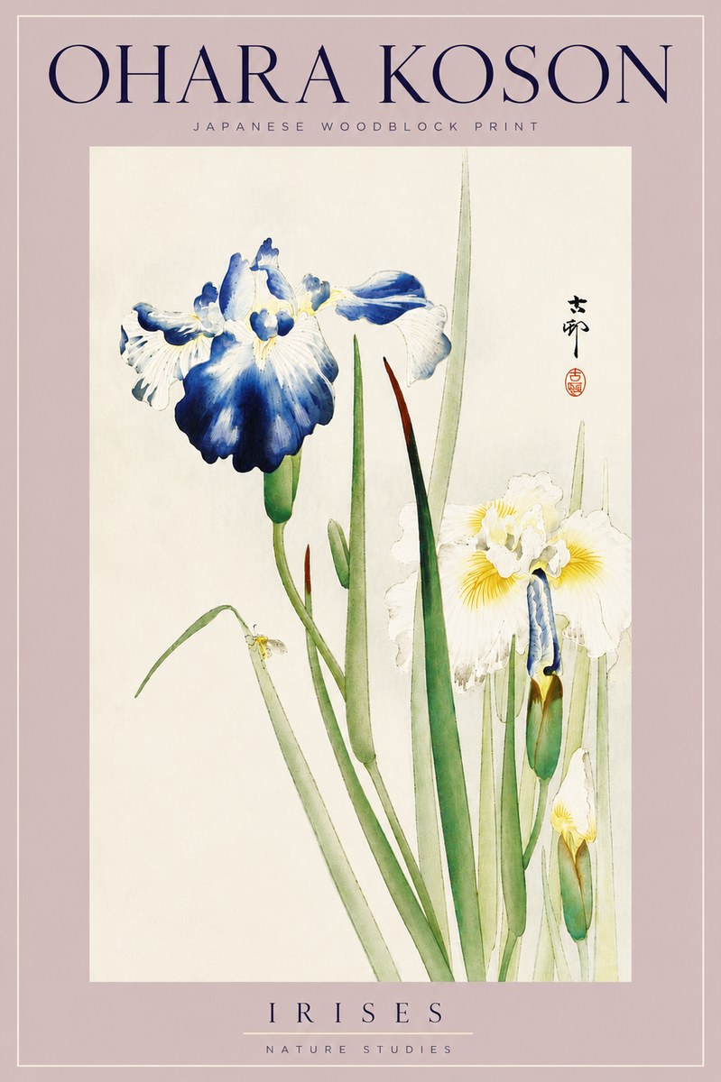 Ohara Koson Irises II No6 - Juliste