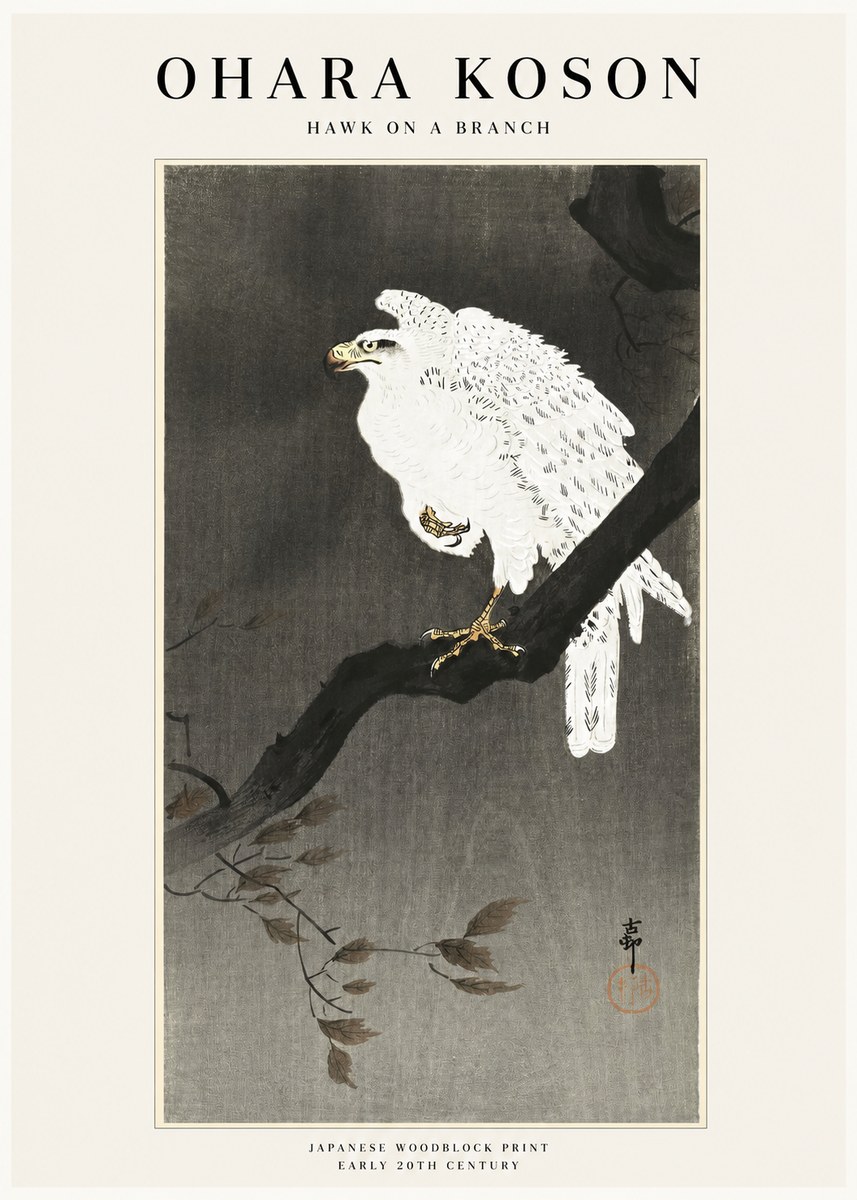 Ohara Koson Hawk on a Branch II No1 - Juliste