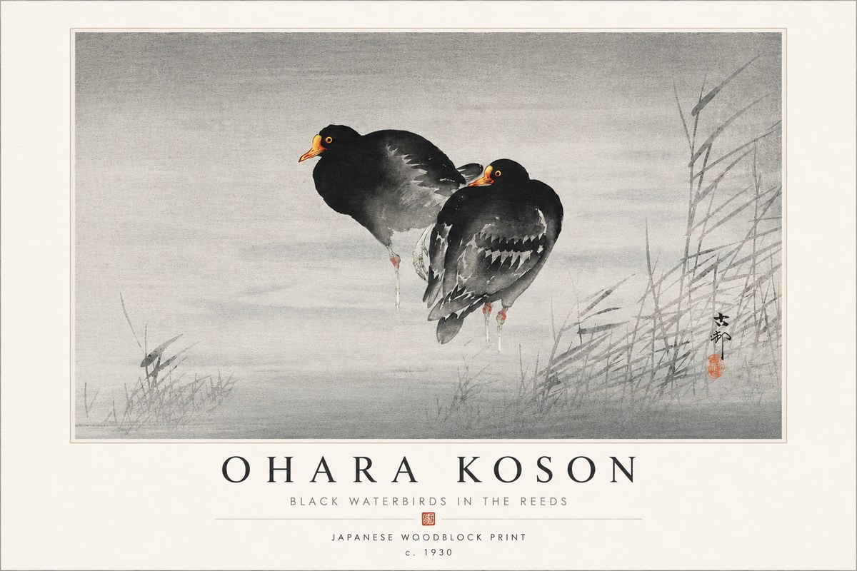 Ohara Koson Black Waterbirds in the Reeds No4 - Juliste