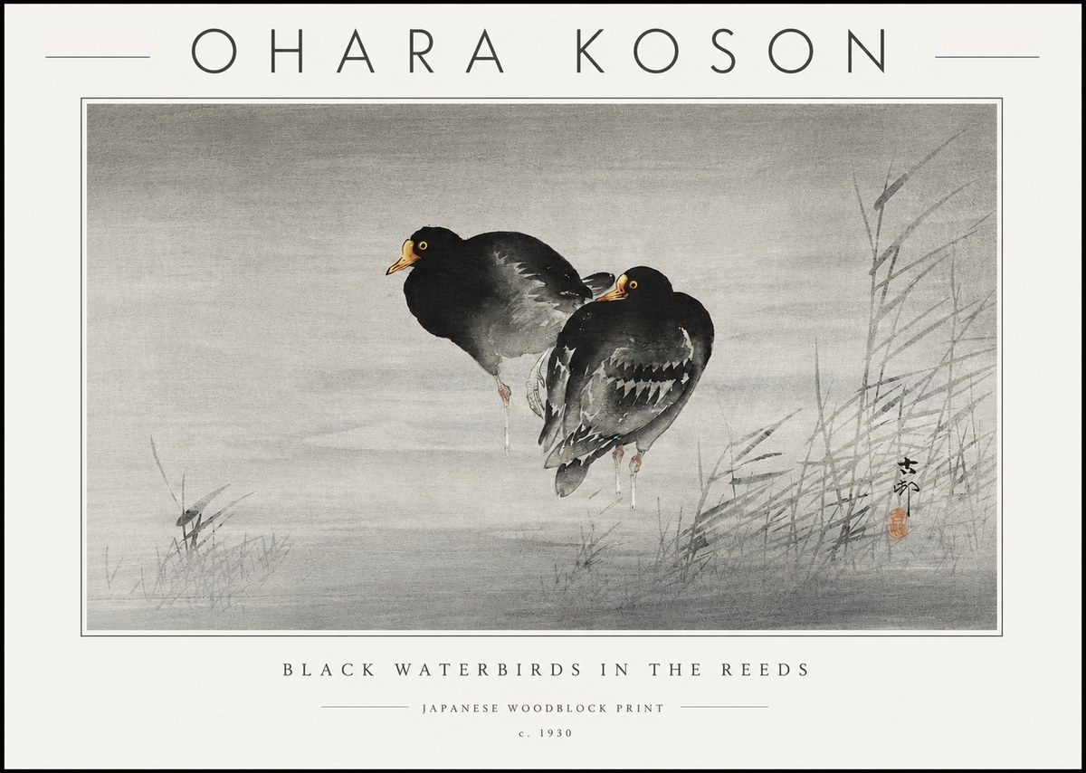 Ohara Koson Black Waterbirds in the Reeds No6 - Juliste