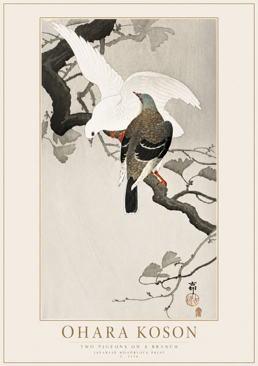 Ohara Koson Two Pigeons on a Branch No4 - Juliste