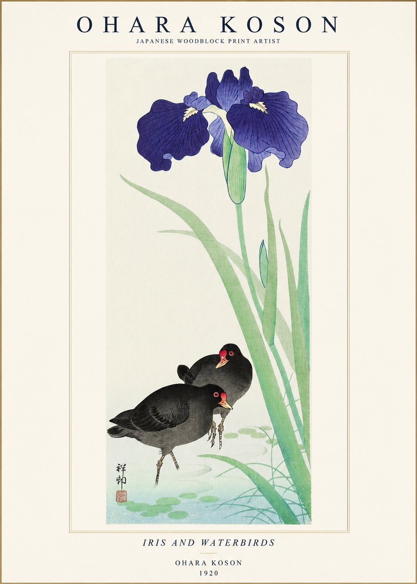 Ohara Koson Iris and Waterbirds No1 - Juliste