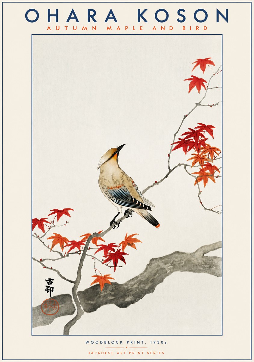 Ohara Koson Autumn Maple and Bird No2 - Juliste