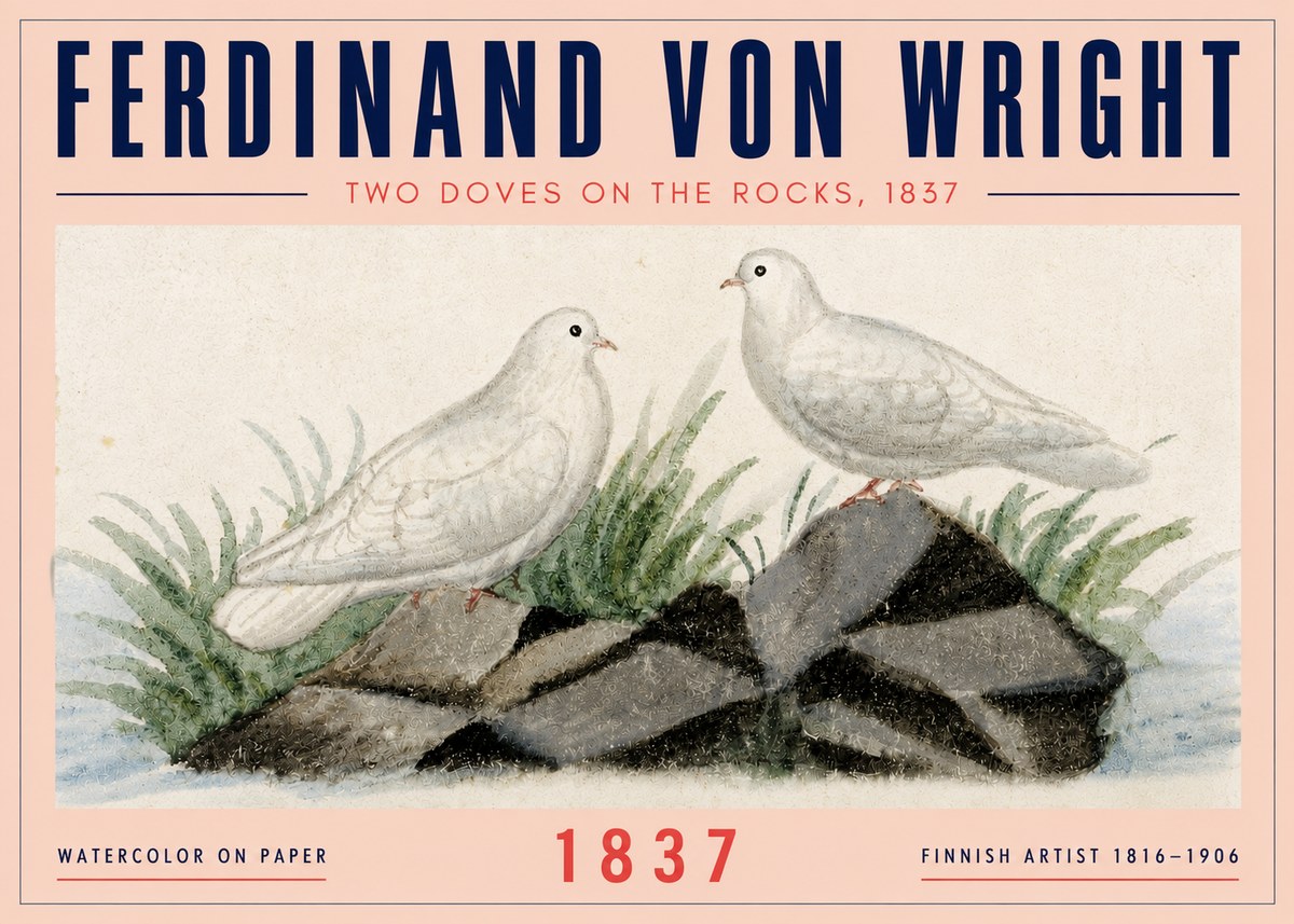 Ferdinand von Wright Two Doves on the Rocks, 1837 No4 - Juliste