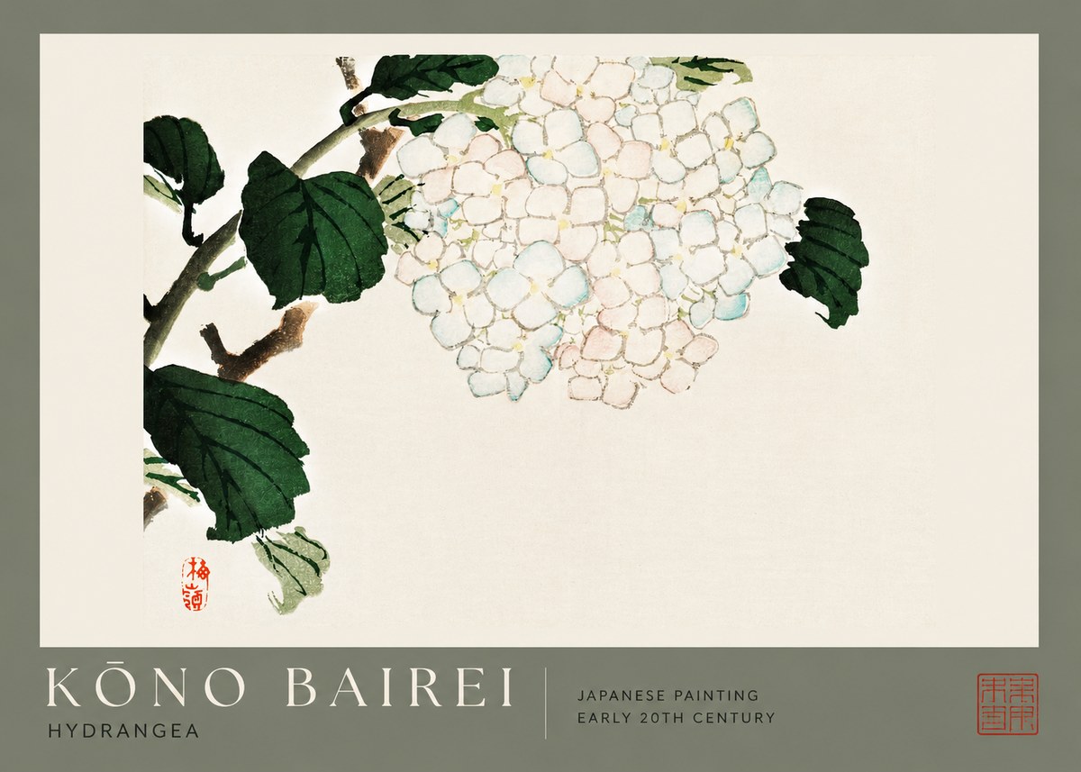 Kōno Bairei Hydrangea No2 - Juliste
