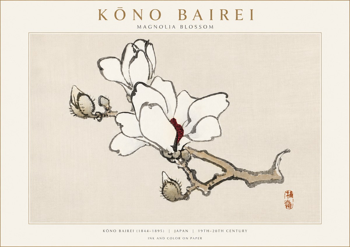 Kōno Bairei Magnolia Blossom No3 - Juliste