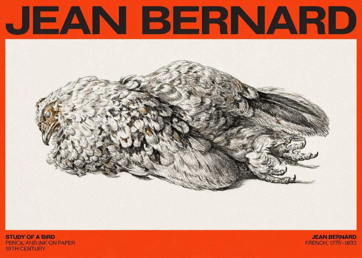 Jean Bernard Study of a Bird I No4 - Juliste