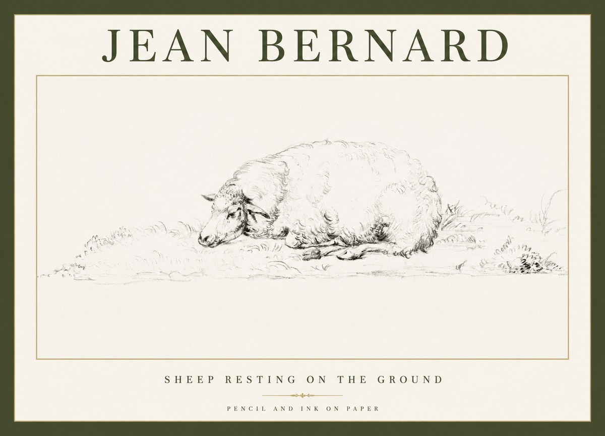 Jean Bernard Sheep Resting on the Ground No1 - Juliste