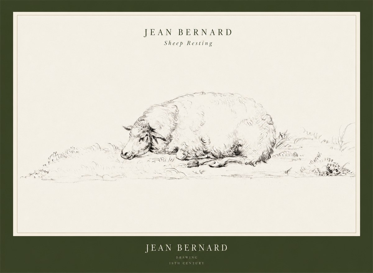 Jean Bernard Sheep Resting on the Ground No3 - Juliste