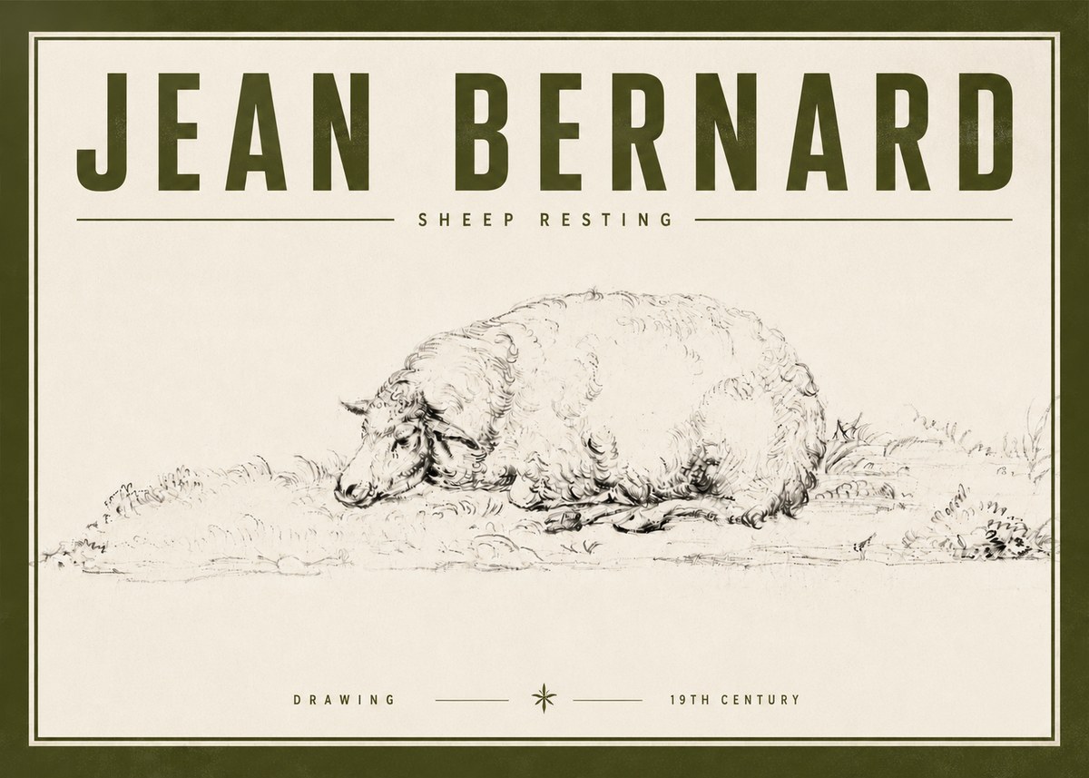 Jean Bernard Sheep Resting on the Ground No6 - Juliste