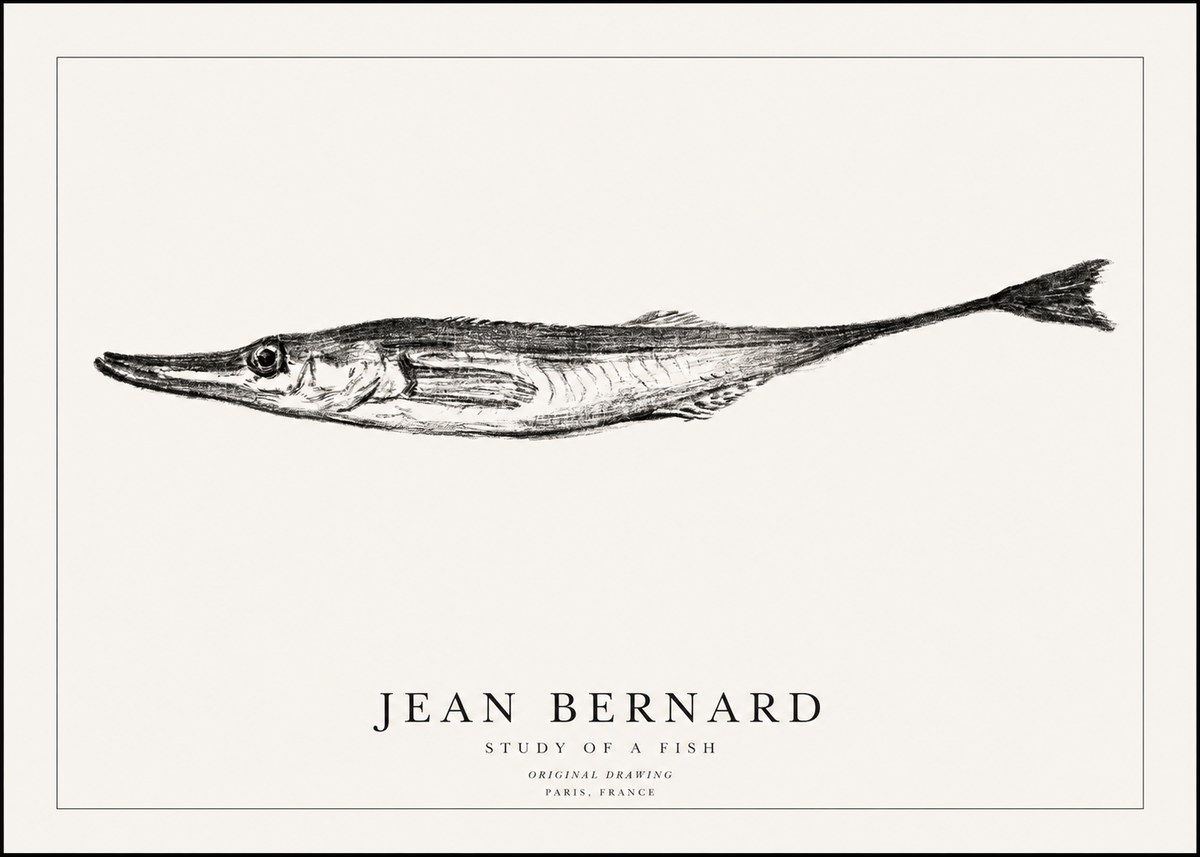 Jean Bernard Study of a Fish I No1 - Juliste