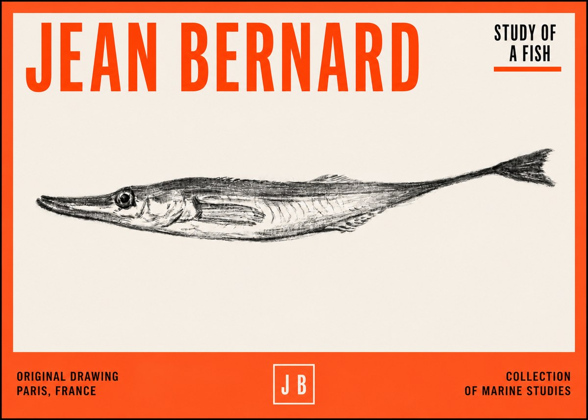 Jean Bernard Study of a Fish I No2 - Juliste