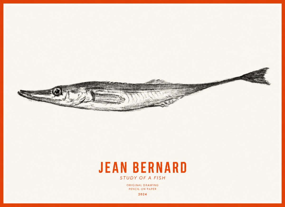 Jean Bernard Study of a Fish I No3 - Juliste