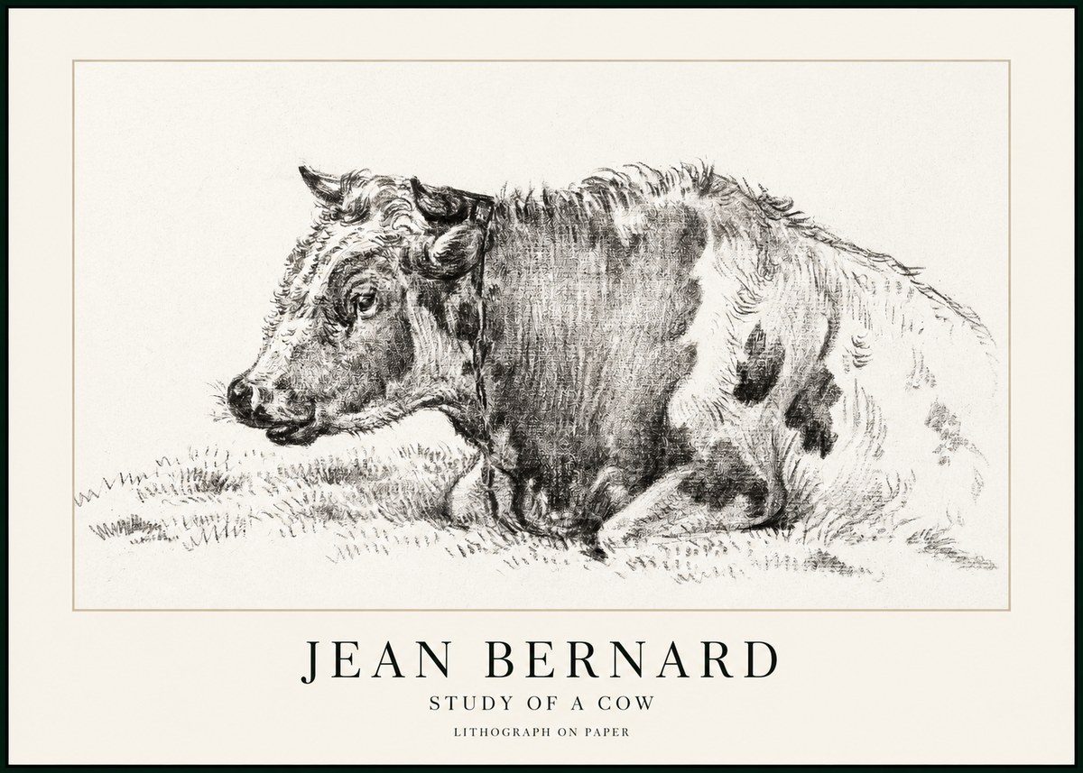 Jean Bernard Resting Cow I No3 - Juliste