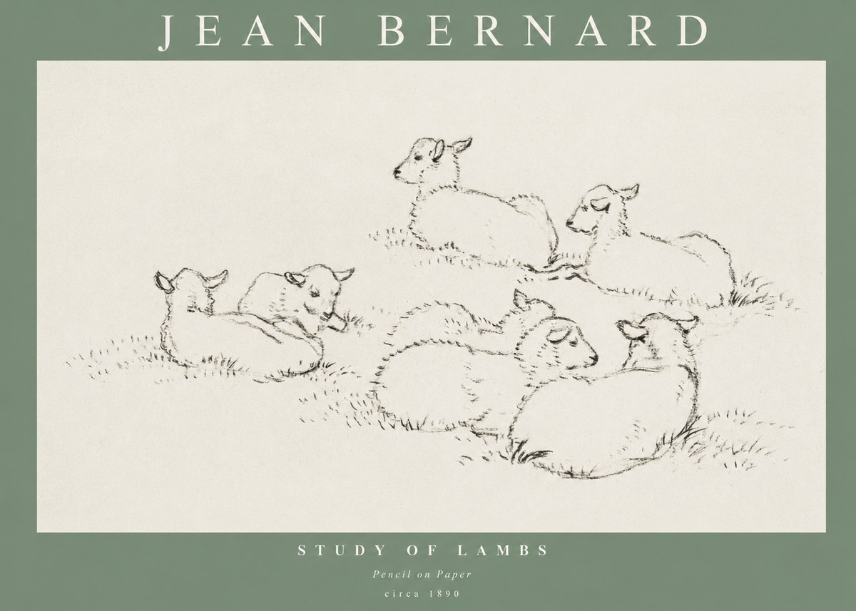 Jean Bernard Study of Lambs No1 - Juliste