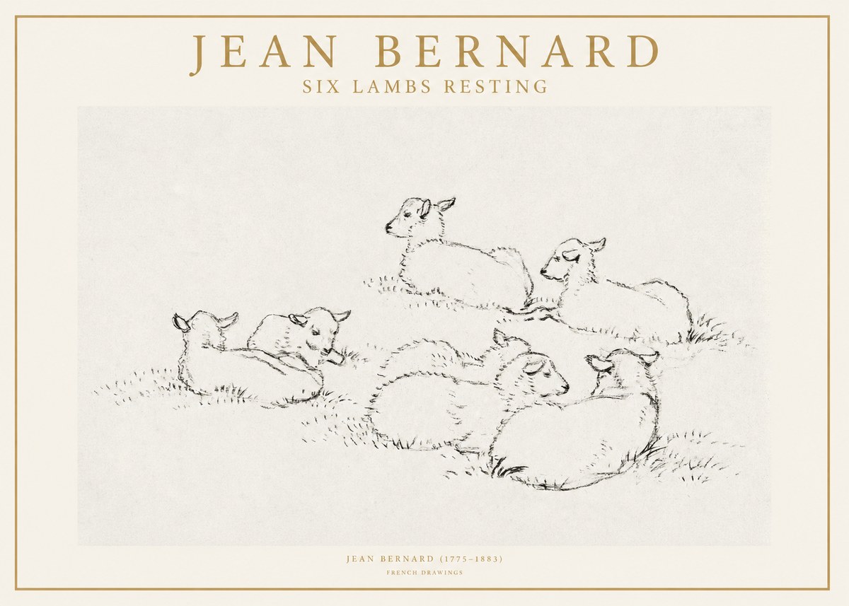 Jean Bernard Study of Lambs No2 - Juliste