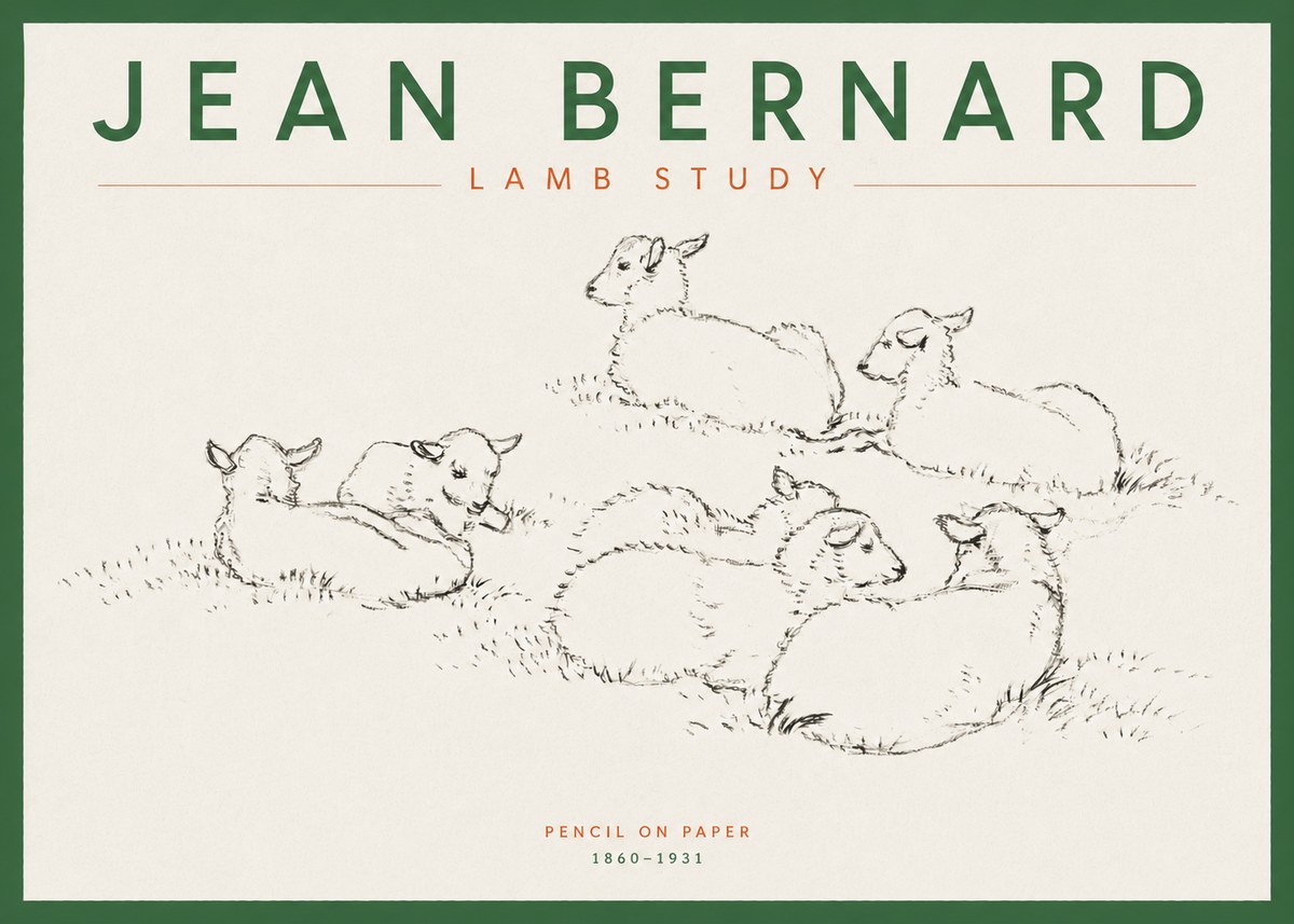 Jean Bernard Study of Lambs No5 - Juliste