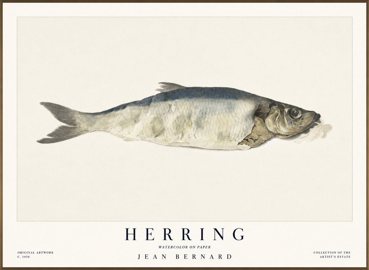 Jean Bernard Herring No1 - Juliste