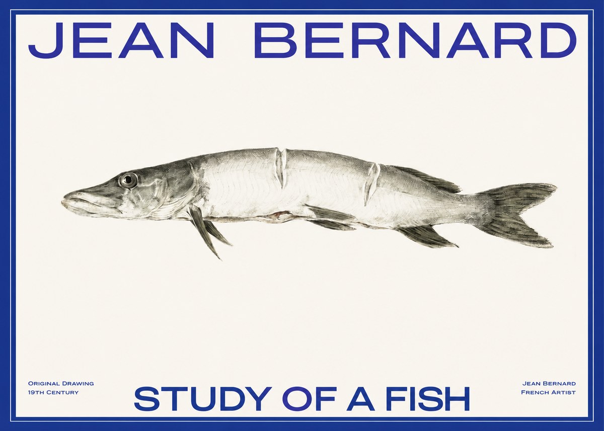 Jean Bernard Study of a Fish II No2 - Juliste
