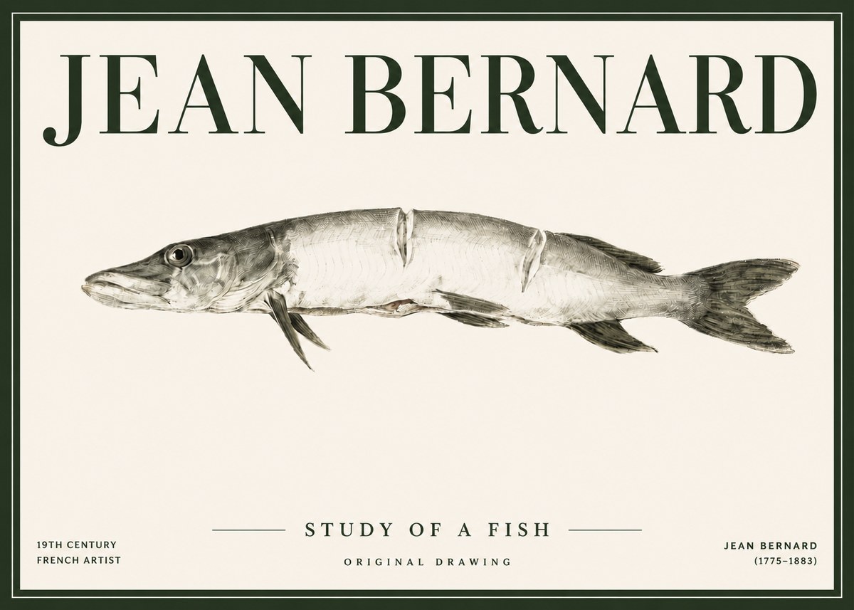 Jean Bernard Study of a Fish II No4 - Juliste