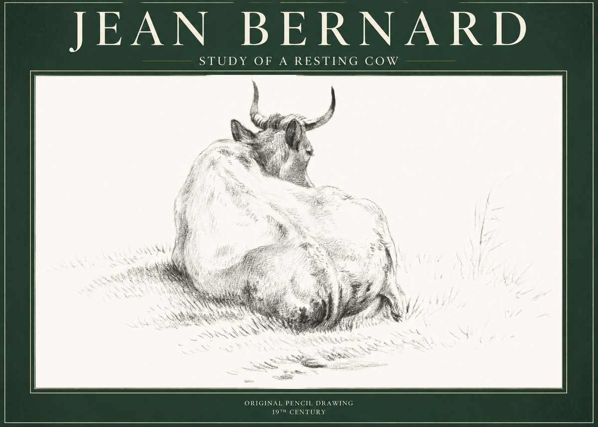 Jean Bernard Study of a Resting Cow I No1 - Juliste