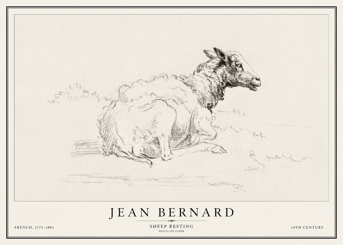Jean Bernard Sheep Resting No1 - Juliste