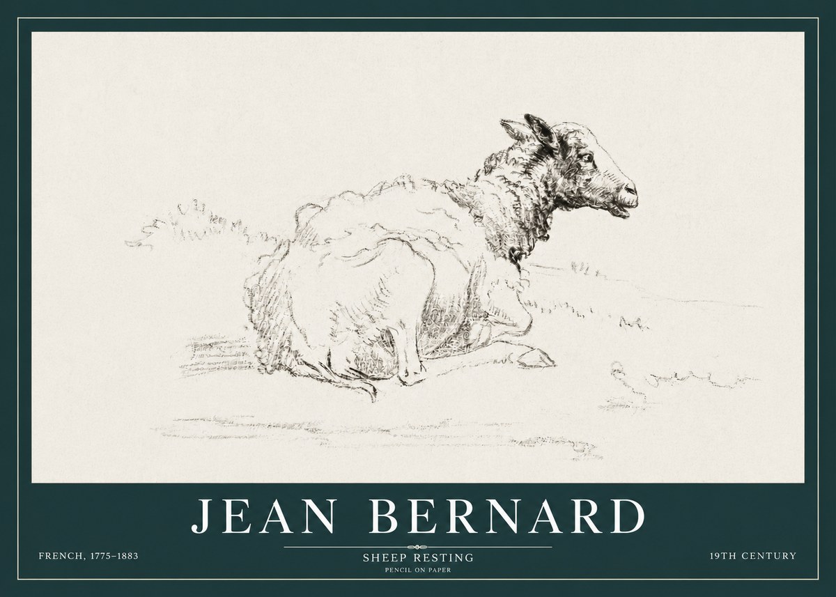 Jean Bernard Sheep Resting No3 - Juliste