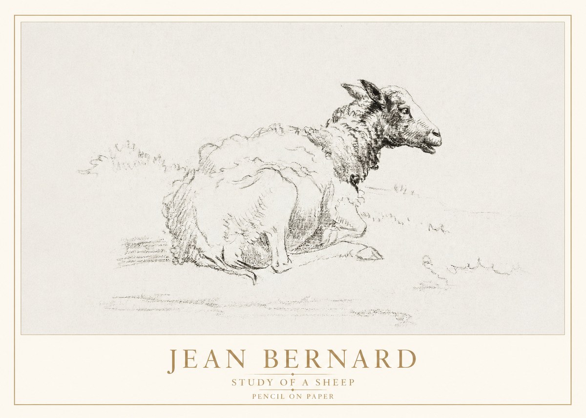 Jean Bernard Sheep Resting No4 - Juliste