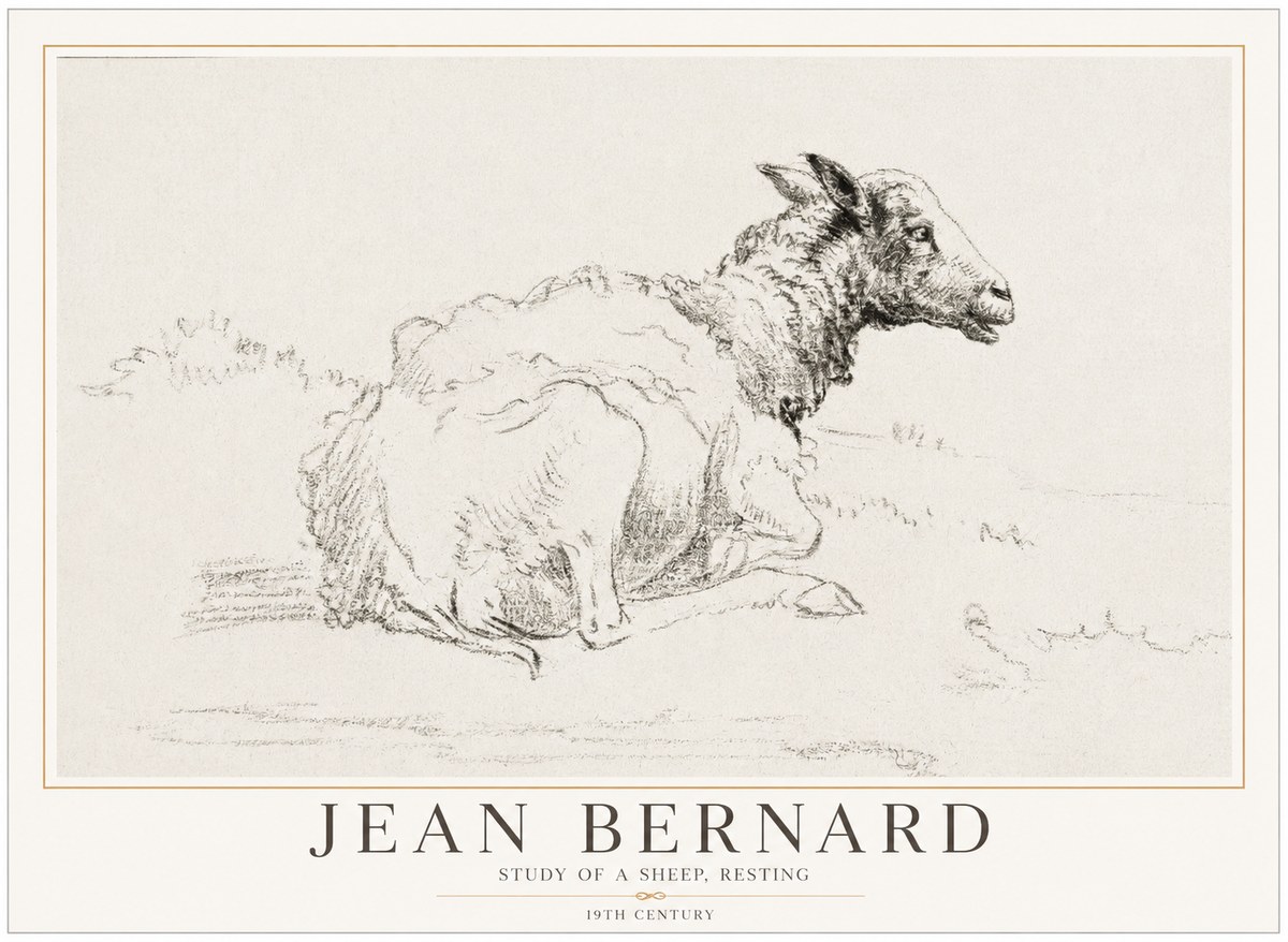 Jean Bernard Sheep Resting No5 - Juliste