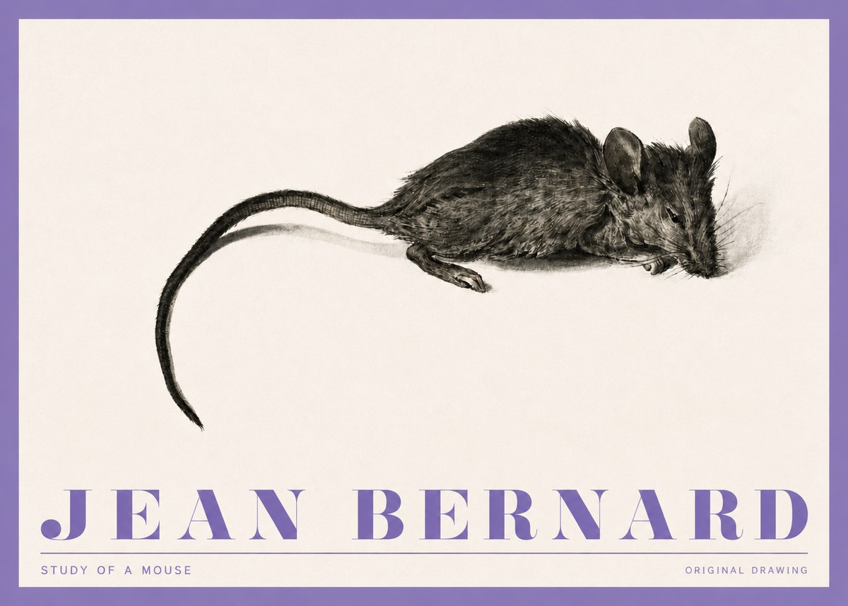Jean Bernard Study of a Mouse I No4 - Juliste