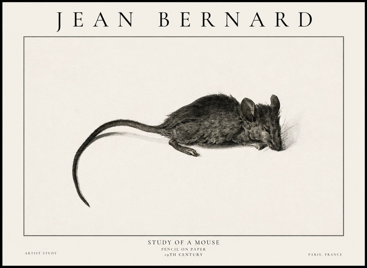 Jean Bernard Study of a Mouse I No6 - Juliste