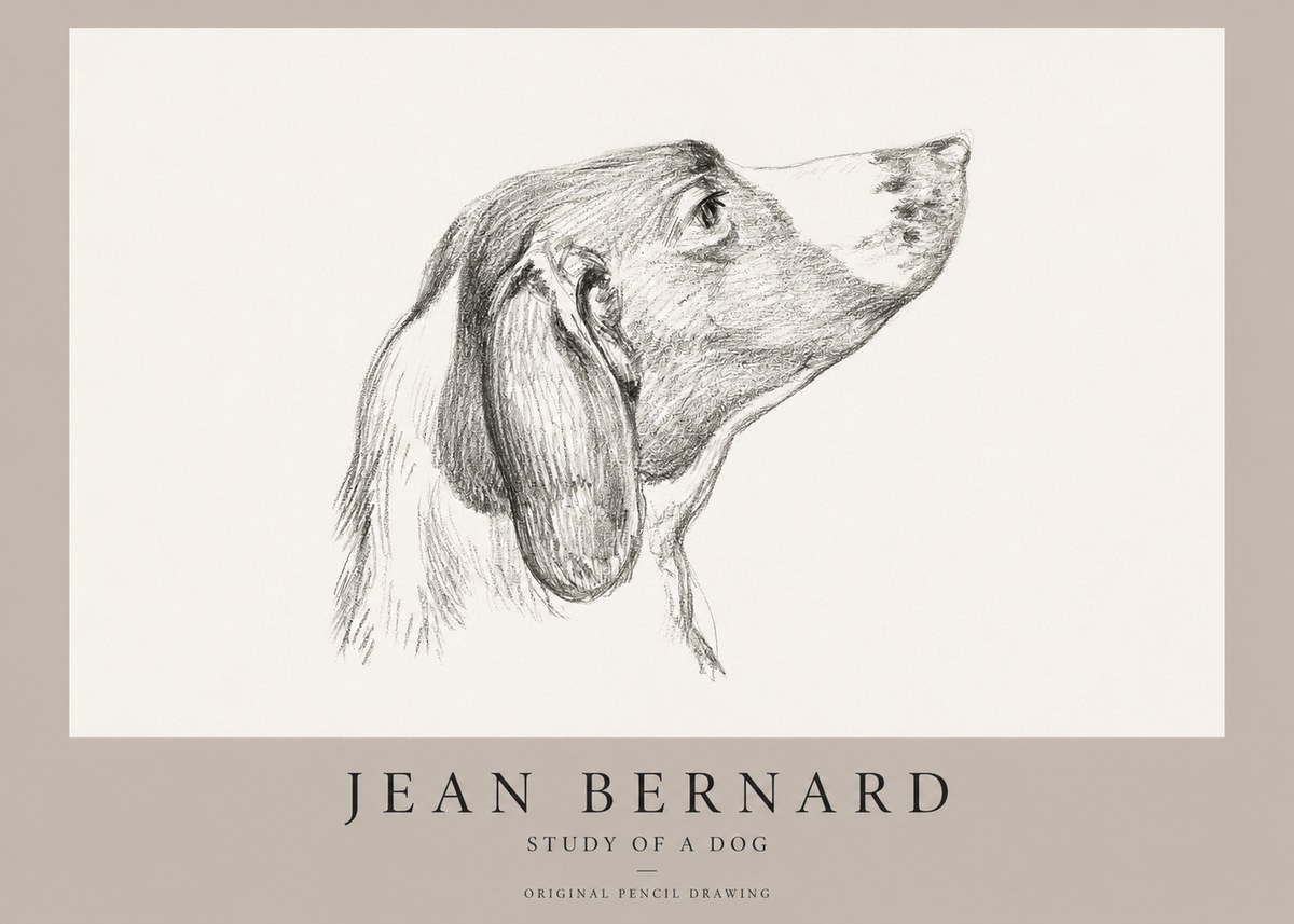 Jean Bernard Study of a Dog I No1 - Juliste