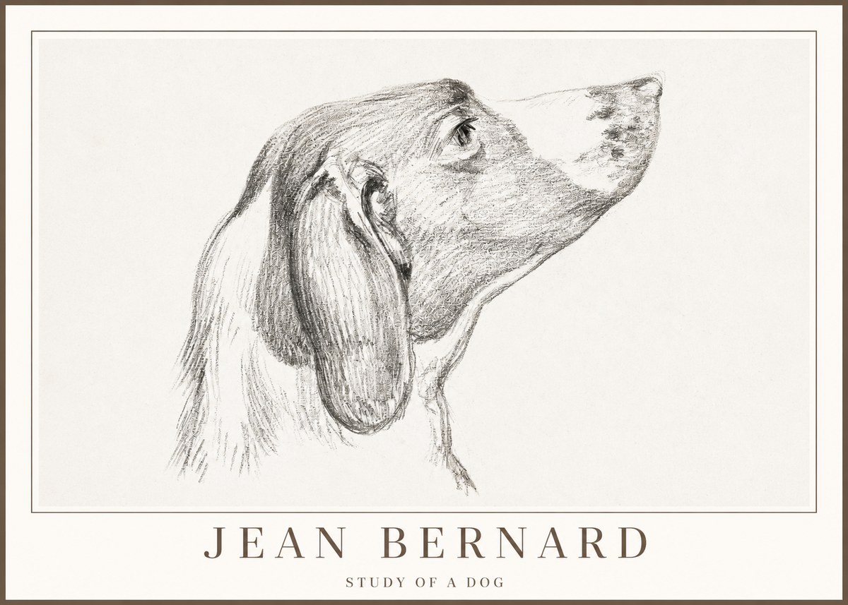Jean Bernard Study of a Dog I No2 - Juliste