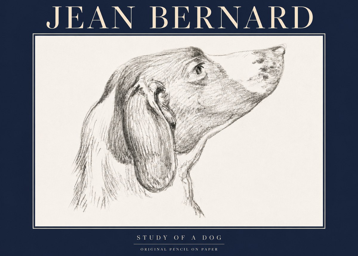 Jean Bernard Study of a Dog I No4 - Juliste