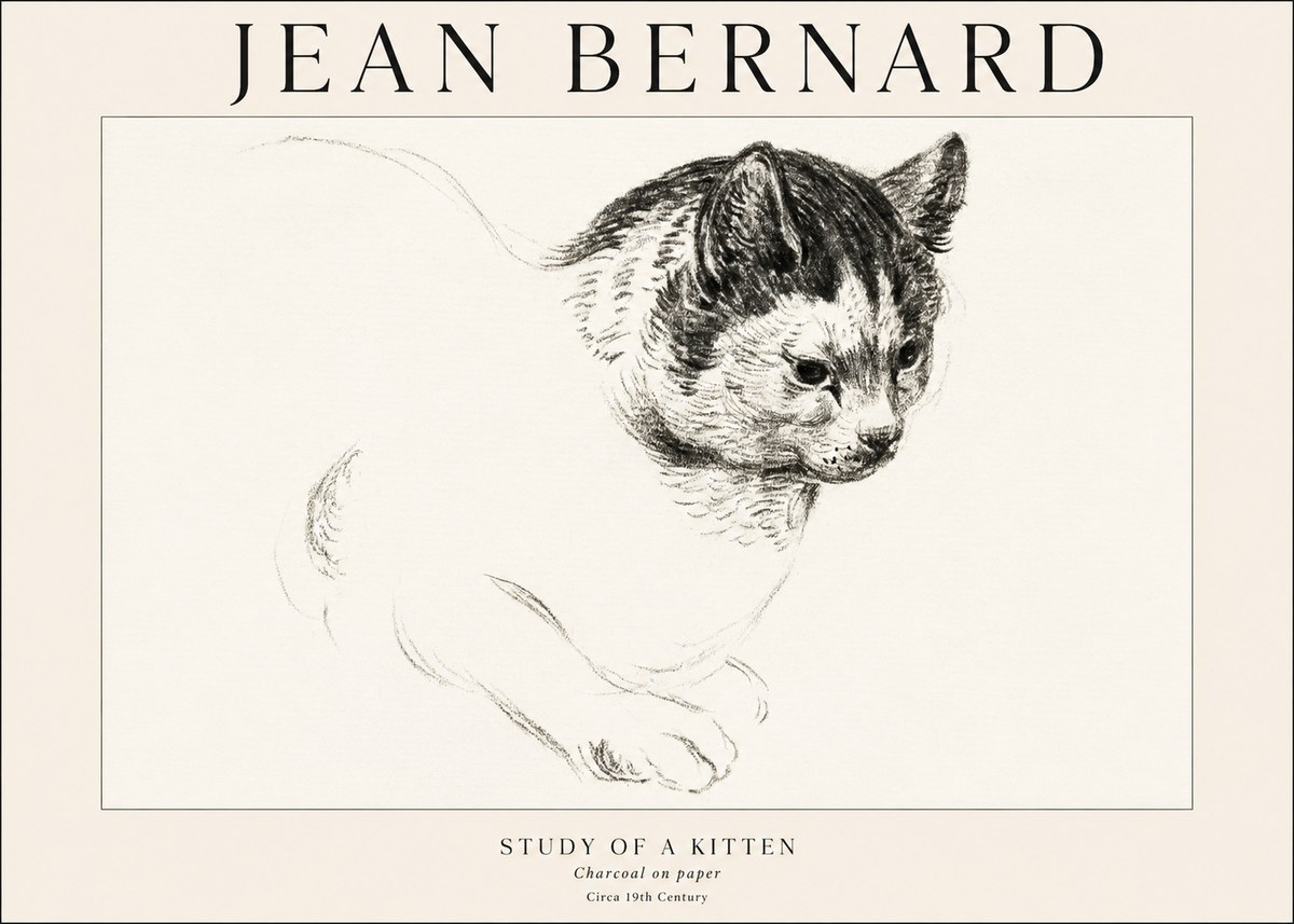 Jean Bernard Study of a Kitten I No1 - Juliste