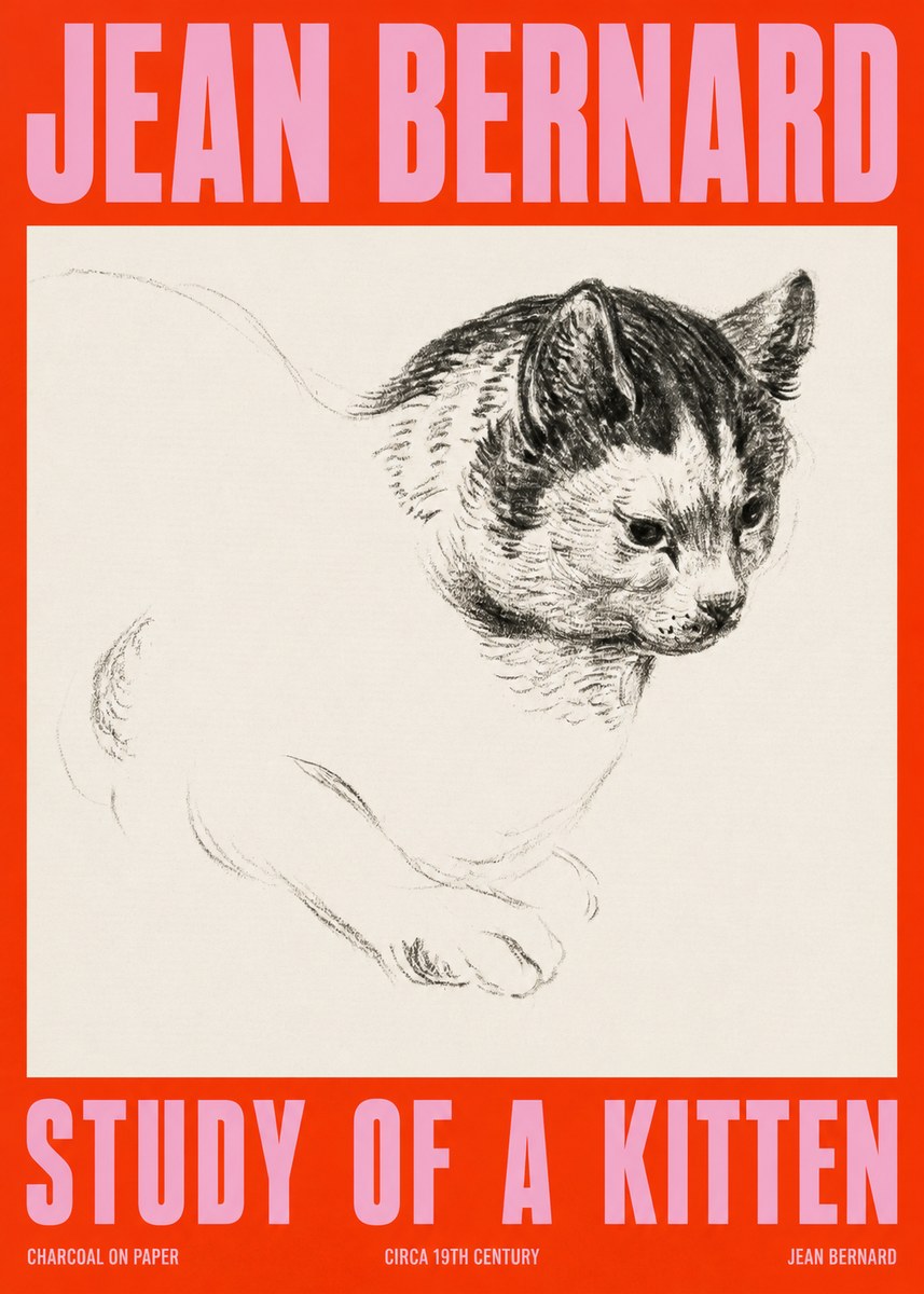 Jean Bernard Study of a Kitten I No2 - Juliste