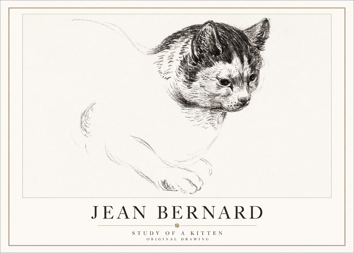 Jean Bernard Study of a Kitten I No5 - Juliste
