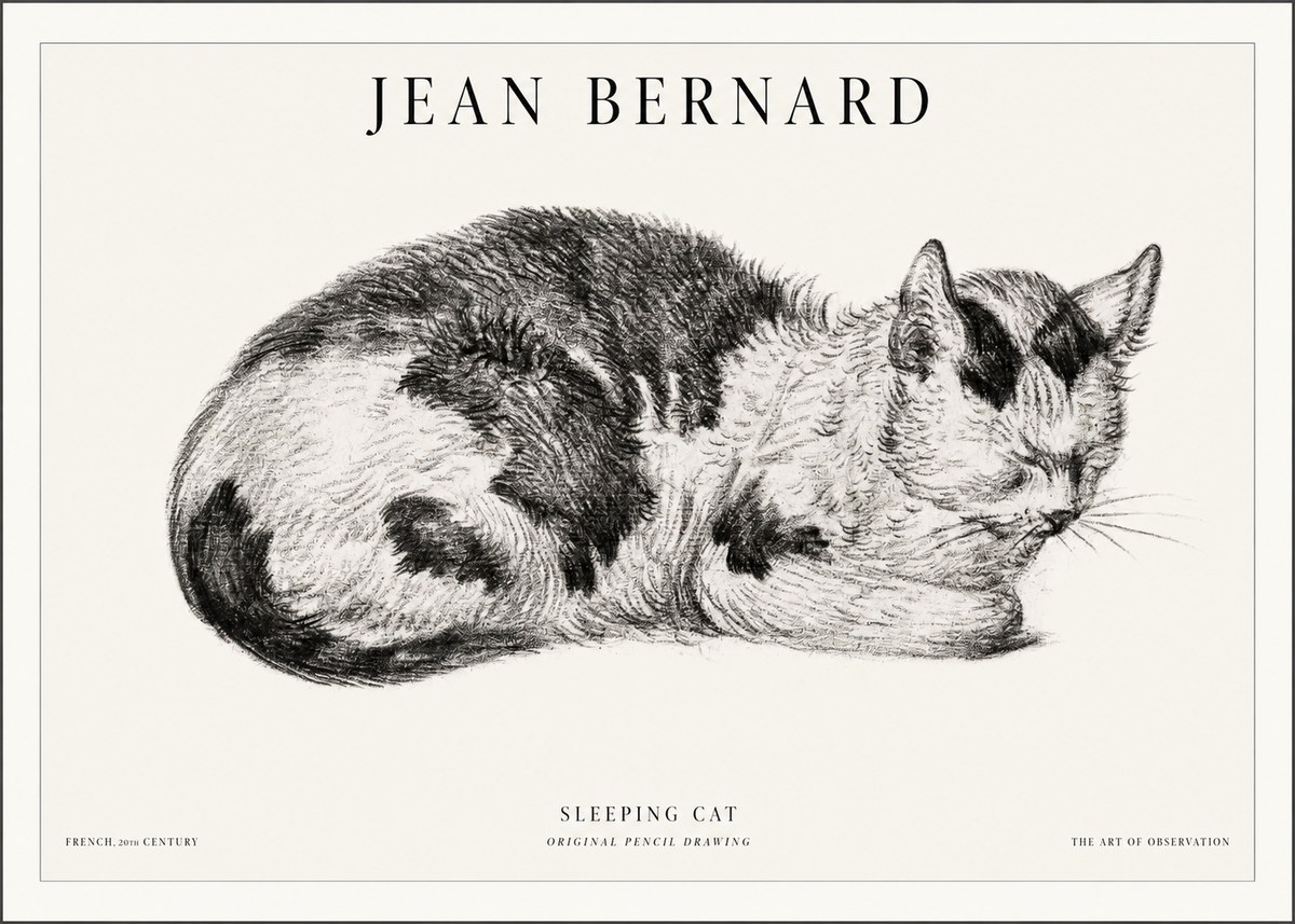 Jean Bernard Sleeping Cat I No5 - Juliste