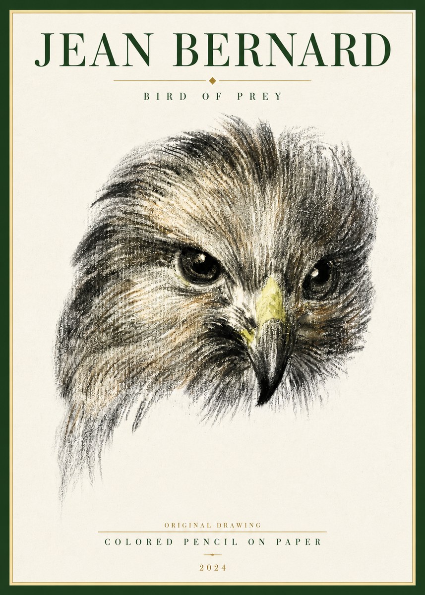 Jean Bernard Bird of Prey No4 - Juliste