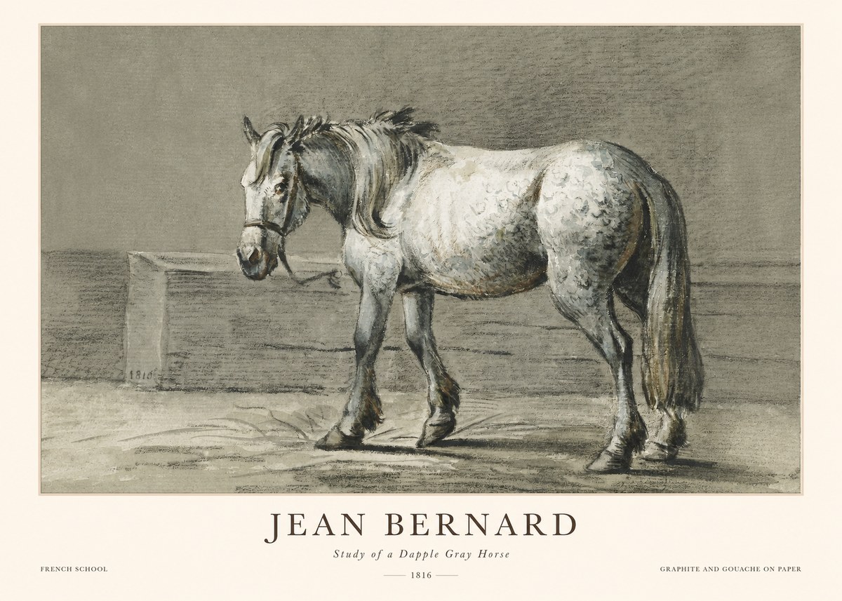 Jean Bernard Study of a Dapple Gray Horse No1 - Juliste