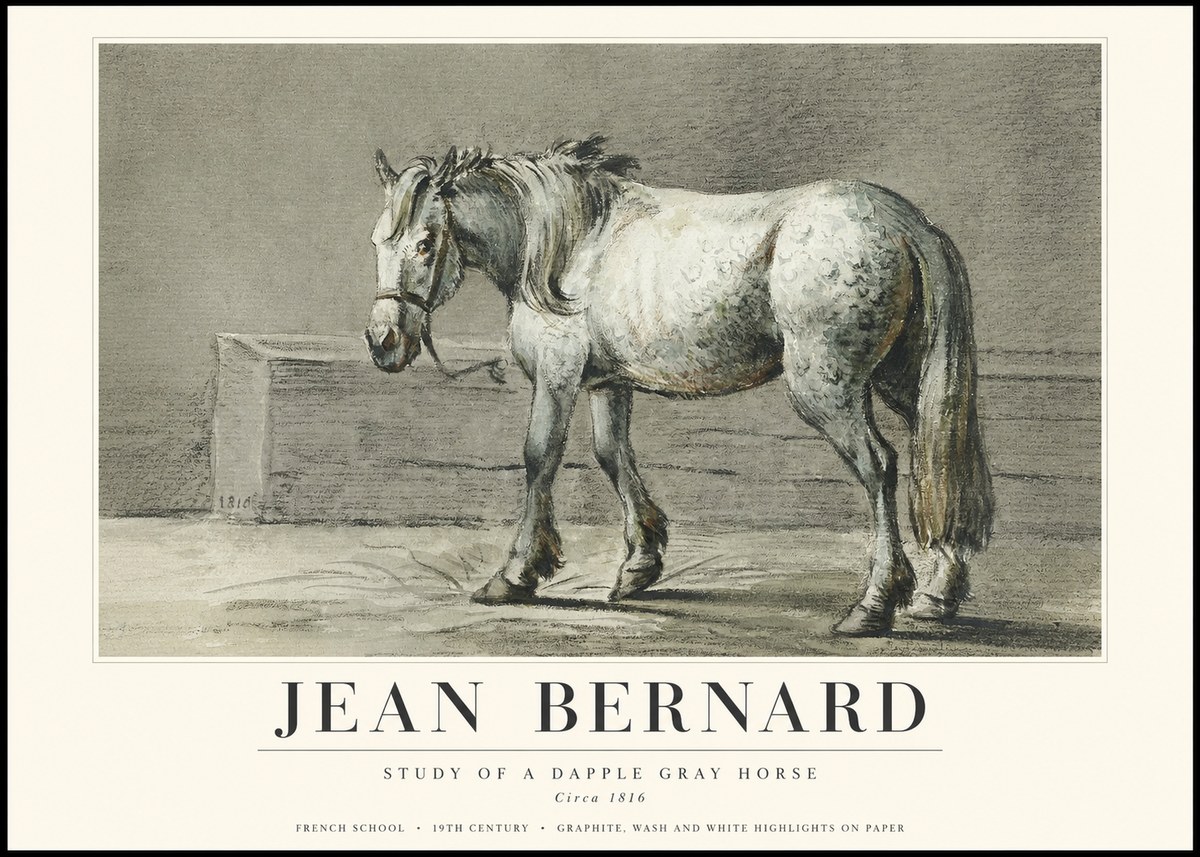 Jean Bernard Study of a Dapple Gray Horse No3 - Juliste