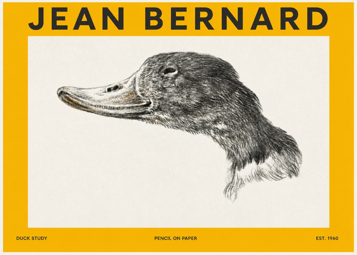 Jean Bernard Study of a Duck No3 - Juliste