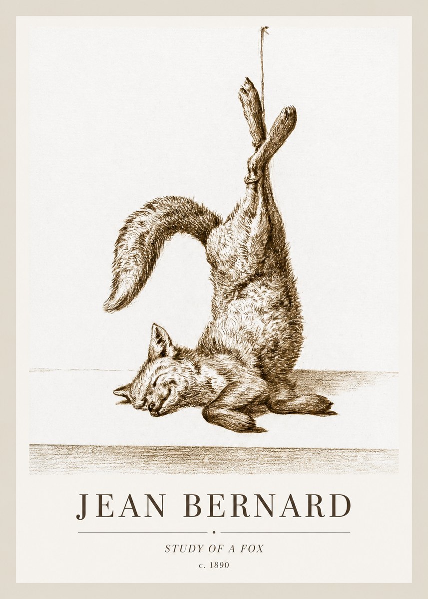 Jean Bernard Study of a Fox No1 - Juliste